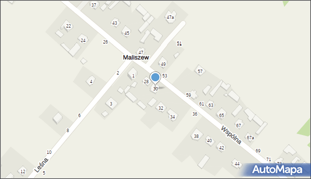 Maliszew, Wspólna, 30, mapa Maliszew