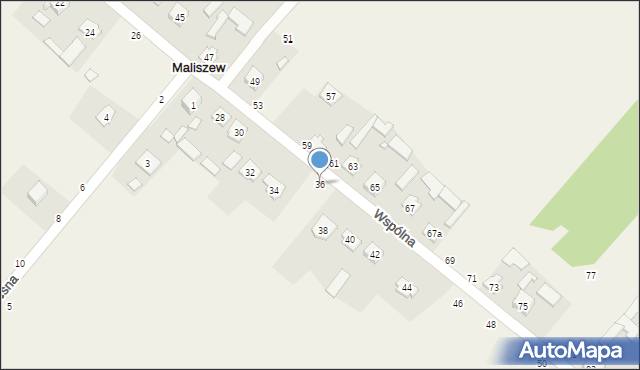 Maliszew, Wspólna, 36, mapa Maliszew