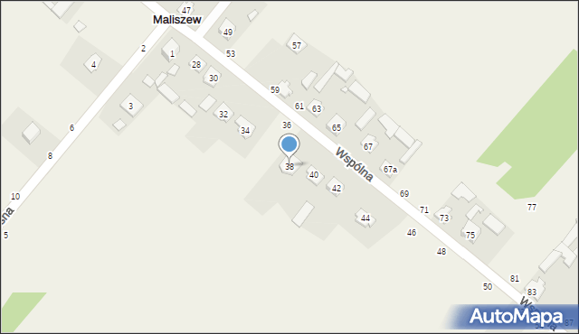 Maliszew, Wspólna, 38, mapa Maliszew