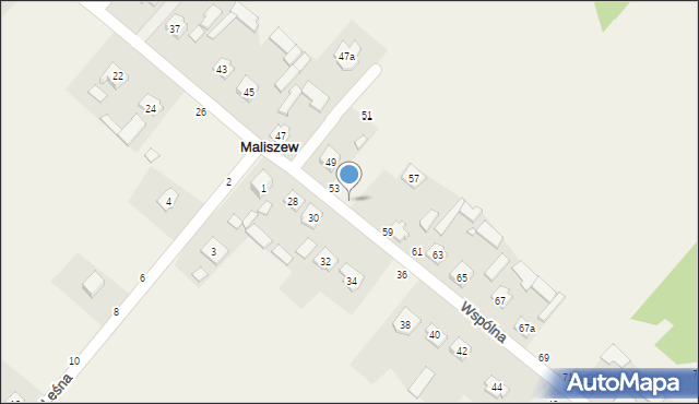 Maliszew, Wspólna, 55, mapa Maliszew