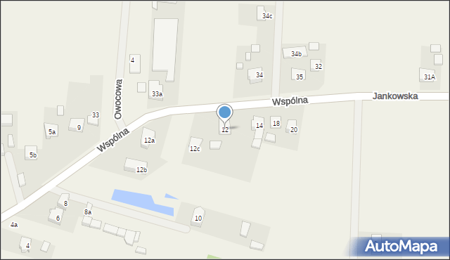 Przygodzice, Wspólna, 12, mapa Przygodzice