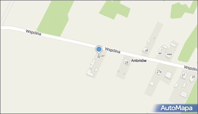 Widzów, Wspólna, 31, mapa Widzów