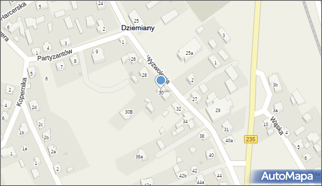 Dziemiany, Wyzwolenia, 30, mapa Dziemiany