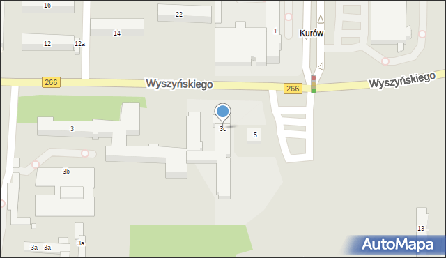 Konin, Wyszyńskiego Stefana, ks. kard., 3c, mapa Konina