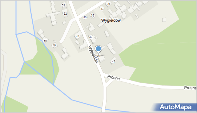 Wygiełdów, Wygiełdów, 45, mapa Wygiełdów