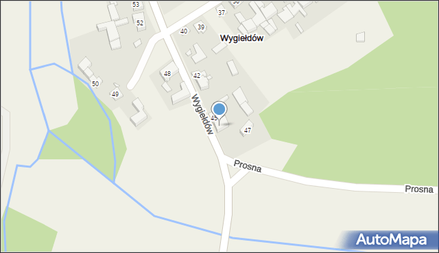 Wygiełdów, Wygiełdów, 46, mapa Wygiełdów