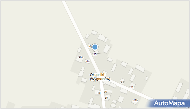 Wygnanów, Wygnanów, 45, mapa Wygnanów