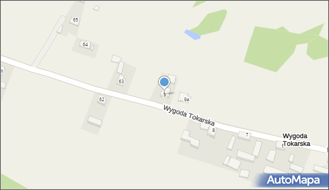 Wygoda Tokarska, Wygoda Tokarska, 9, mapa Wygoda Tokarska