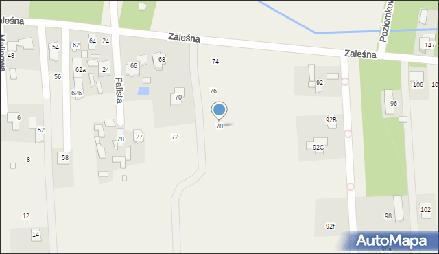 Borowina, Zaleśna, 78, mapa Borowina