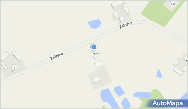 Czempisz, Zaleśna, 10, mapa Czempisz