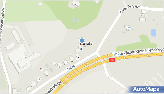 Gniezno, Żabia, 15B, mapa Gniezna