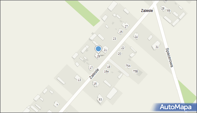 Leszczydół-Pustki, Zalesie, 19, mapa Leszczydół-Pustki