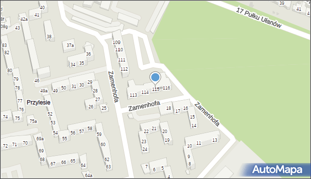 Leszno, Zamenhofa Ludwika, dr., 115, mapa Leszno