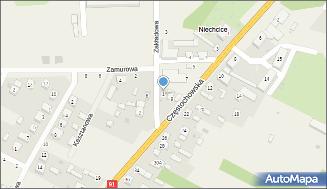 Niechcice, Zakładowa, 1, mapa Niechcice