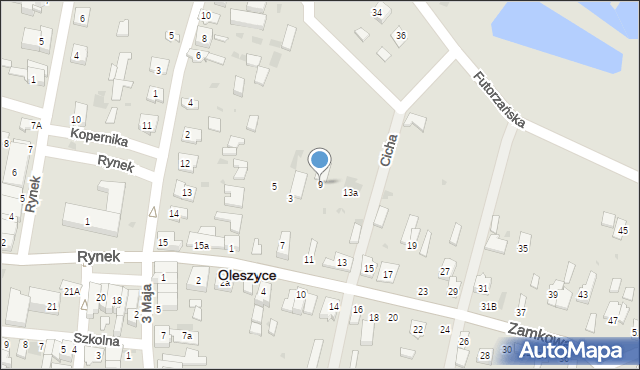 Oleszyce, Zamkowa, 9, mapa Oleszyce