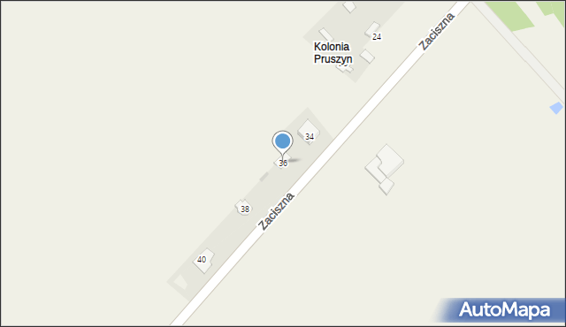 Pruszyn, Zaciszna, 36, mapa Pruszyn