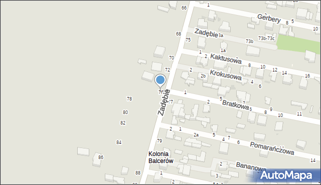 Skierniewice, Zadębie, 76, mapa Skierniewic