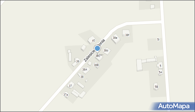 Zalesice-Kolonia, Zalesice-Kolonia, 38C, mapa Zalesice-Kolonia