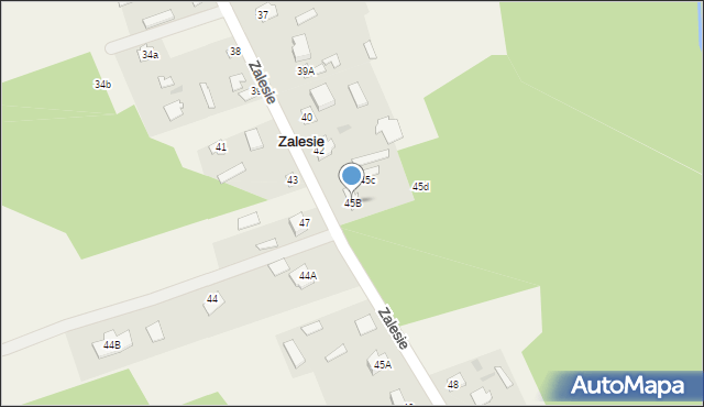 Zalesie, Zalesie, 45B, mapa Zalesie