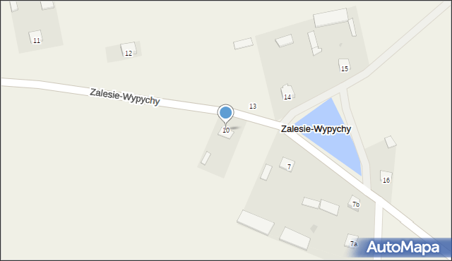 Zalesie-Wypychy, Zalesie-Wypychy, 10, mapa Zalesie-Wypychy