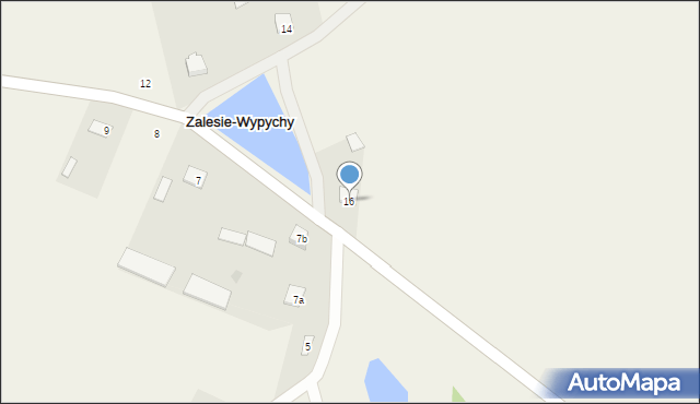 Zalesie-Wypychy, Zalesie-Wypychy, 16, mapa Zalesie-Wypychy