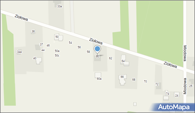 Dziechciniec, Ziołowa, 60, mapa Dziechciniec