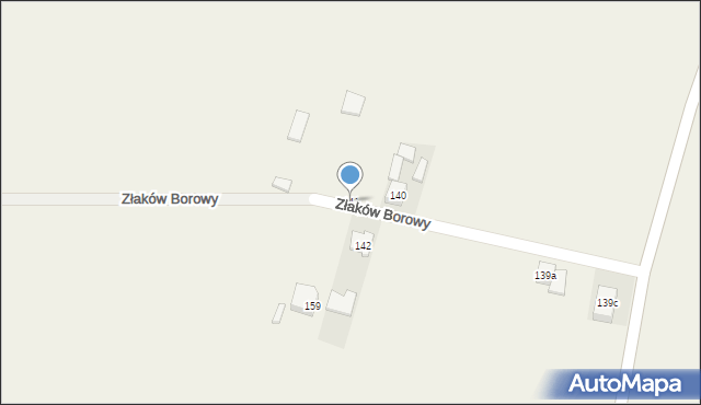 Złaków Borowy, Złaków Borowy, 141, mapa Złaków Borowy