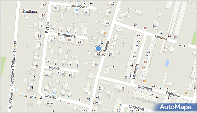 Piotrków Trybunalski, Źródlana, 38, mapa Piotrków Trybunalski