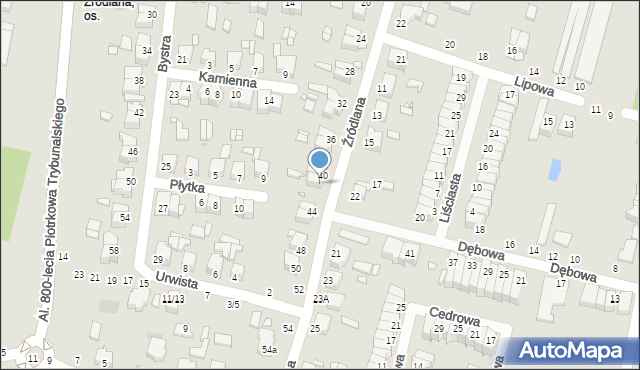 Piotrków Trybunalski, Źródlana, 42, mapa Piotrków Trybunalski