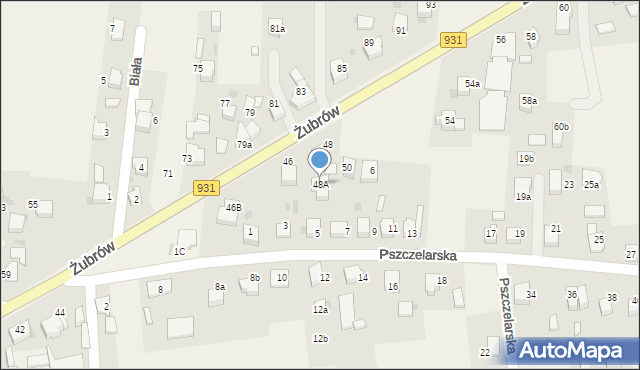 Jankowice, Żubrów, 48A, mapa Jankowice