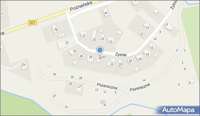 Niepruszewo, Żytnia, 24, mapa Niepruszewo