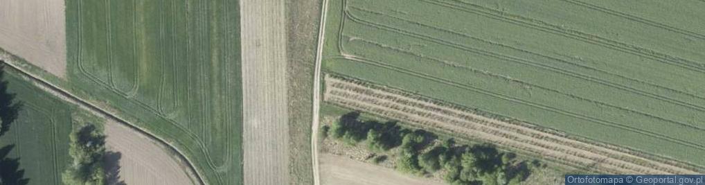 Zdjęcie satelitarne 11 Listopada ul.