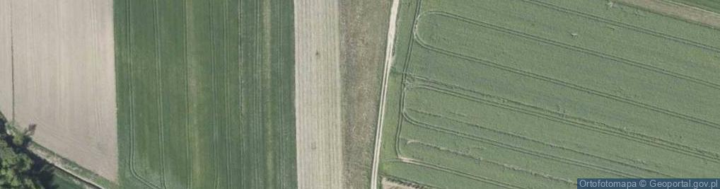 Zdjęcie satelitarne 11 Listopada ul.