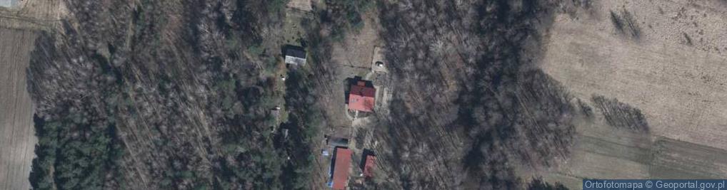 Zdjęcie satelitarne Adamów ul.