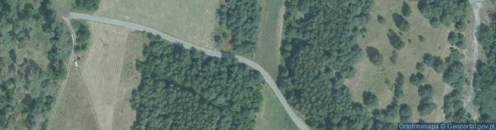 Zdjęcie satelitarne Adamówka ul.