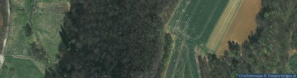 Zdjęcie satelitarne Akacjowa ul.