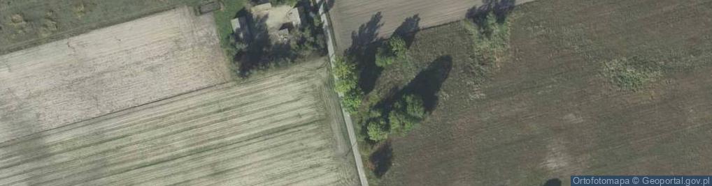 Zdjęcie satelitarne Aleksandria Niedziałowska ul.
