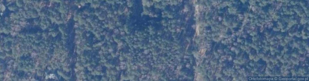 Zdjęcie satelitarne Aleja Słońca al.