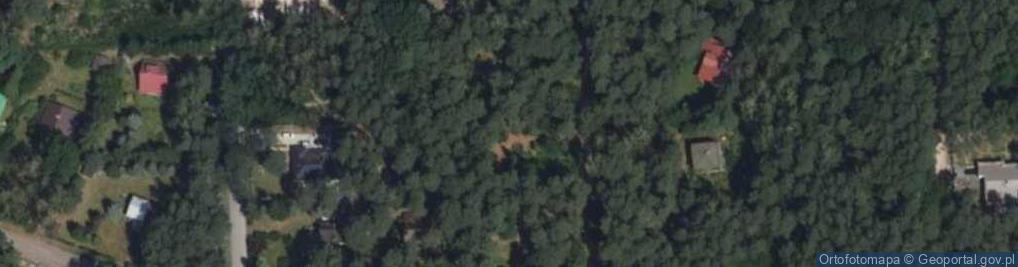 Zdjęcie satelitarne Aleja Lipnickiego Wacława al.