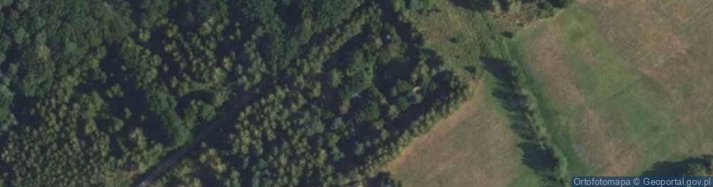 Zdjęcie satelitarne Antoniew ul.