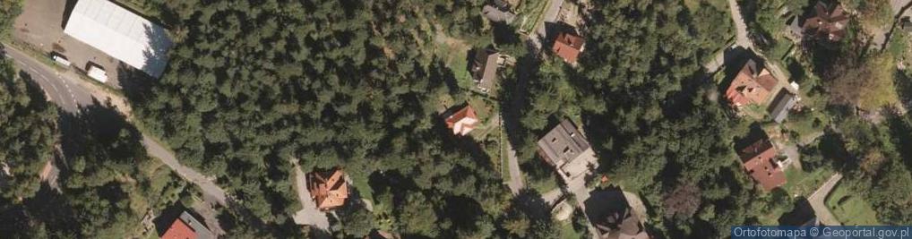 Zdjęcie satelitarne Armii Krajowej ul.