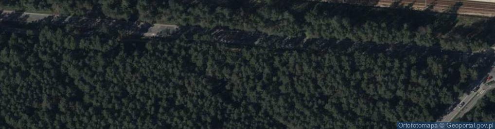 Zdjęcie satelitarne Armii Krajowej ul.