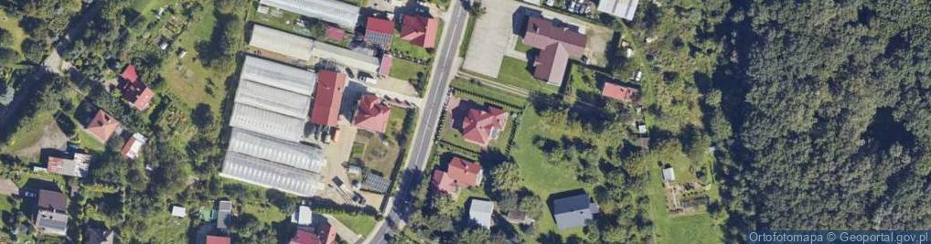Zdjęcie satelitarne Armii Krajowej ul.