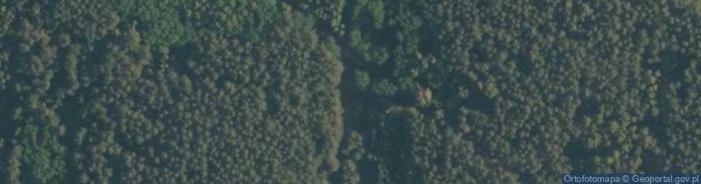 Zdjęcie satelitarne Babiniec ul.