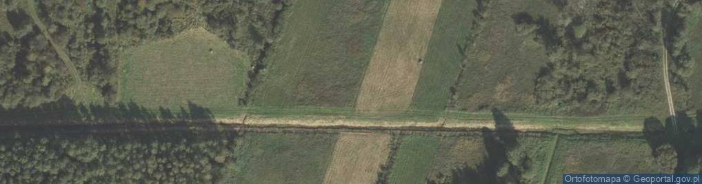 Zdjęcie satelitarne Bachus ul.