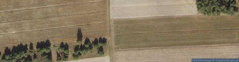 Zdjęcie satelitarne Batalionów Chłopskich ul.