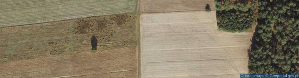 Zdjęcie satelitarne Batalionów Chłopskich ul.