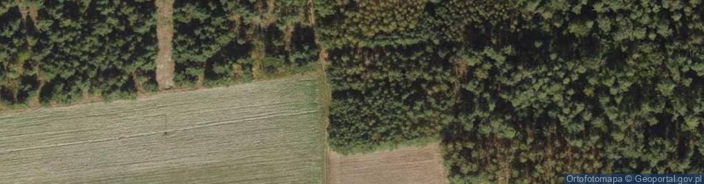 Zdjęcie satelitarne Batalionów Chłopskich ul.