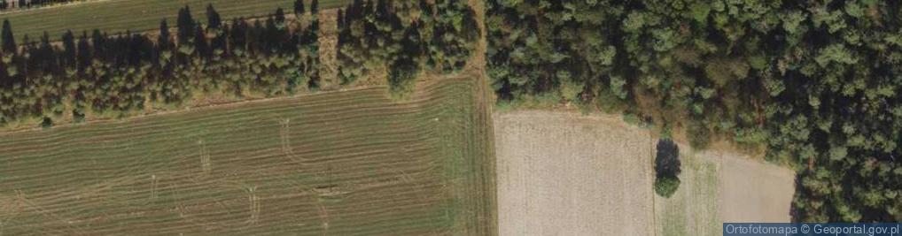 Zdjęcie satelitarne Batalionów Chłopskich ul.