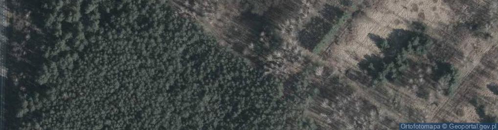 Zdjęcie satelitarne Bagnista ul.